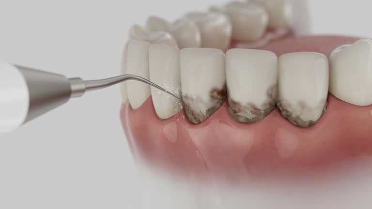 Reliable Dental contractor in Mart, TX by Dentist Open Now